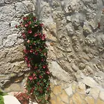 Garden krevet i doručak 3*