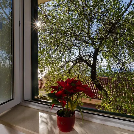 Garden Отель типа 