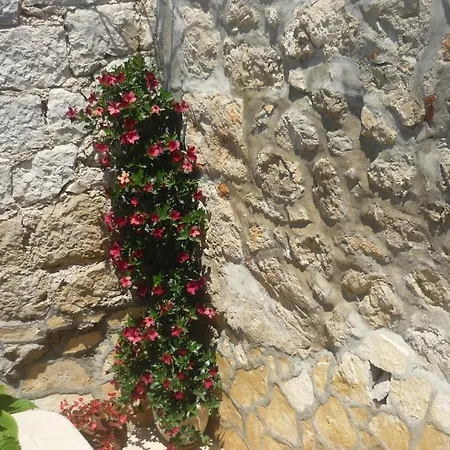 Garden Отель типа 