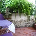 Bed & Breakfast Garden