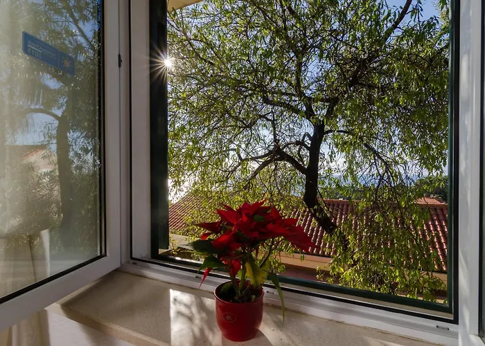 Garden Couette-café Dubrovnik