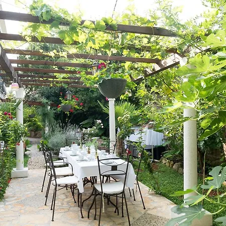 Garden Bed & Breakfast