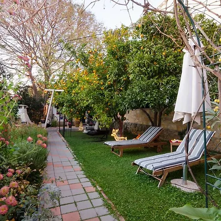 Garden 3* Dubrovnik