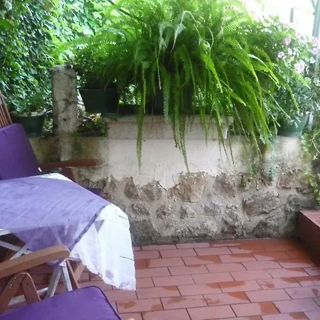 Bed & Breakfast Garden