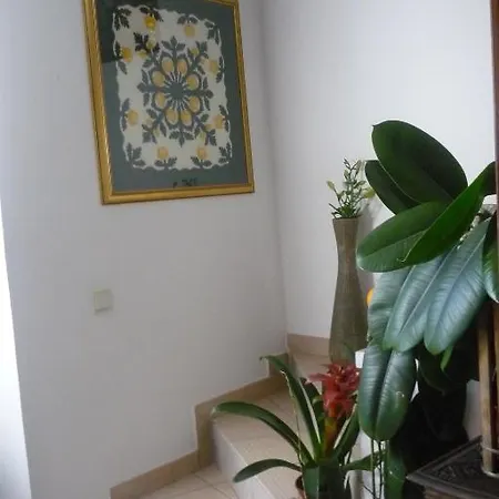 Bed & Breakfast Garden