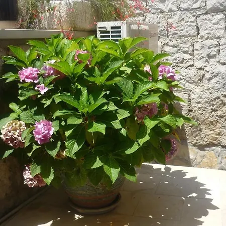 Bed & Breakfast Garden Ragusa