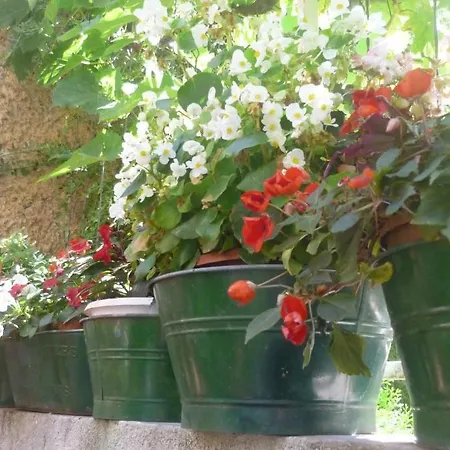 Garden 3* Dubrovnik